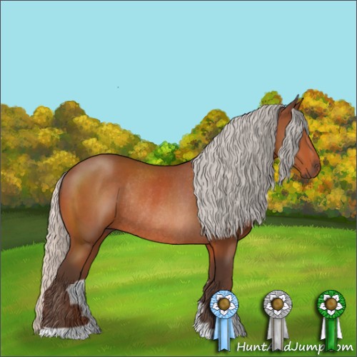 Horse Color:Silver Bay Rabicano