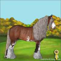 Horse Color:Gray Silver Bay Sabino Rabicano 