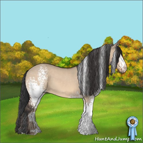 Horse Color:White Spotted Brown Dun 