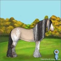Horse Color:White Spotted Brown Dun 
