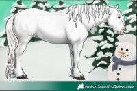 Horse Color:White Spotted Silver Brown Blanket