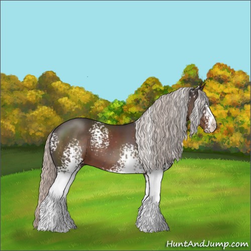 Horse Color:White Spotted Silver Black Sabino 