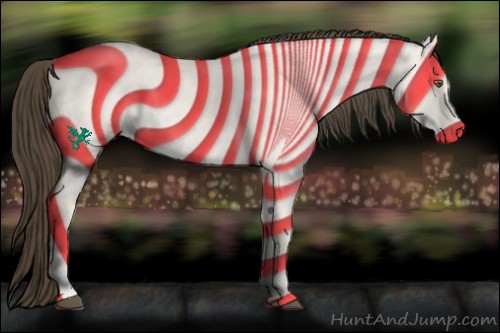 Horse Color:Buckskin Dun