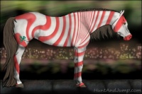 Horse Color:Buckskin Dun 