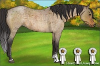 Horse Color:Buckskin Roan Dun Sabino Brindle