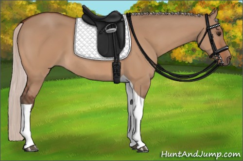 Horse Color:Silver Bay Dun Tobiano 