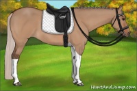 Horse Color:Silver Bay Dun Tobiano 