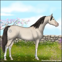 Horse Color:Amber Champagne Dun 