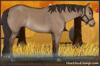 Horse Color:Bay Dun