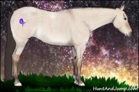 Horse Color:Bay Roan Dun 