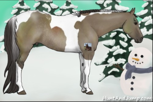 Horse Color:Smoky Grullo Tobiano Rabicano 