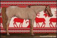 Horse Color:Red Roan Rabicano