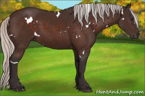 Horse Color:White Spotted Silver Brown 