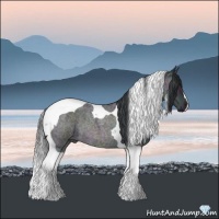 Horse Color:Platinum Midnight Brown Ice Roan Dun Tobiano 