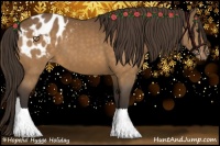Horse Color:Buckskin Blanket 