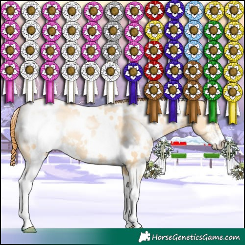 Horse Color:White Spotted Buckskin Pearl Dun Sabino 