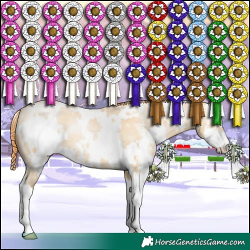 Horse Color:White Spotted Buckskin Pearl Dun Sabino 