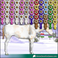 Horse Color:White Spotted Buckskin Pearl Dun Sabino