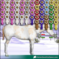Horse Color:White Spotted Buckskin Pearl Dun Sabino