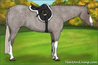 Horse Color:Silver Blue Roan 