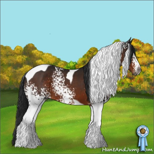 Horse Color:Gray White Spotted Brown Tobiano 