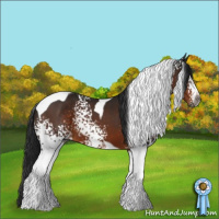 Horse Color:Gray White Spotted Brown Tobiano
