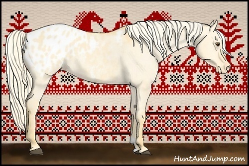 Horse Color:Palomino Dun Appaloosa