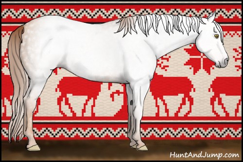 Horse Color:Gray Gold Champagne 