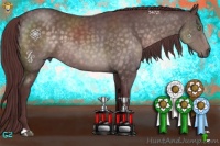 Horse Color:Platinum Chocolate Buckskin 