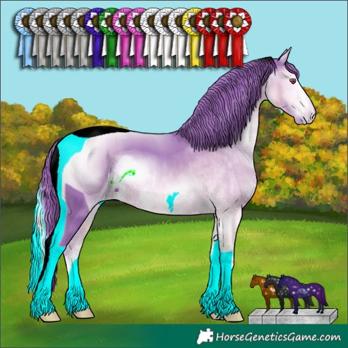 Horse Color:ERROR: UNKNOWN ANOMALY