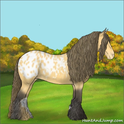 Horse Color:Buckskin Blanket