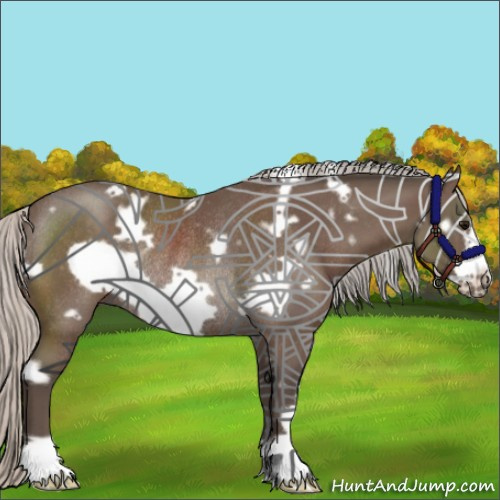 Horse Color:White Spotted Silver Black Frame Rabicano