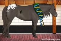 Horse Color:Smoky Black Blanket 
