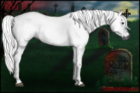 Horse Color:Gray Bay Dun