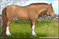 Horse Color:Gray Gold Champagne Roan 