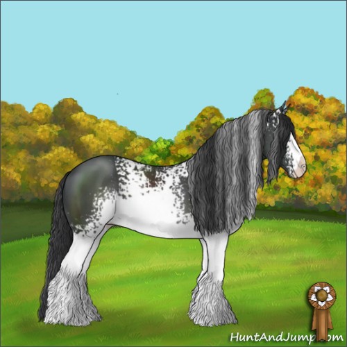 Horse Color:White Spotted Black