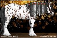 Horse Color:Brown Appaloosa