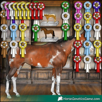 Horse Color:Bay Sabino 