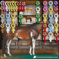 Horse Color:Bay Sabino 