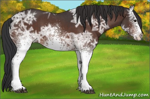 Horse Color:White Spotted Bay Ice Roan 