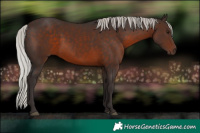Horse Color:Silver Brown 