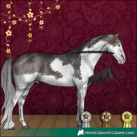 Horse Color:White Spotted Brown Splash 