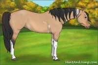 Horse Color:Bay Roan Dun Tobiano