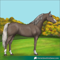 Horse Color:Silver Black 