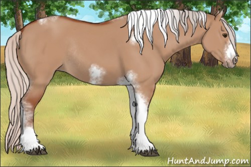 Horse Color:Silver Bay Dun Sabino Tobiano Frame Rabicano 