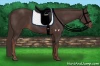 Horse Color:Liver Chestnut Rabicano 