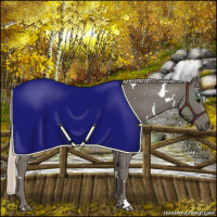 Horse Color:White Spotted Silver Black 