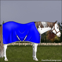 Horse Color:White Spotted Liver Chestnut Splash 