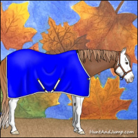 Horse Color:Chestnut Splash 