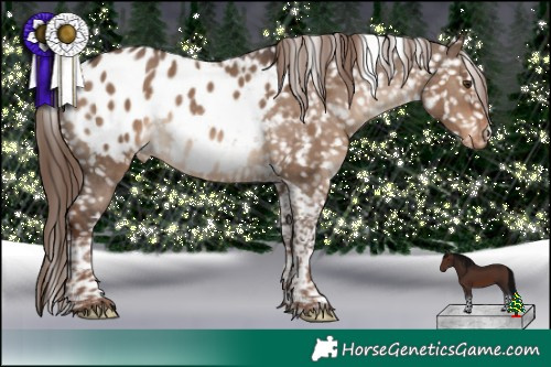 Horse Color:Liver Red Dun Tobiano Appaloosa Rabicano 